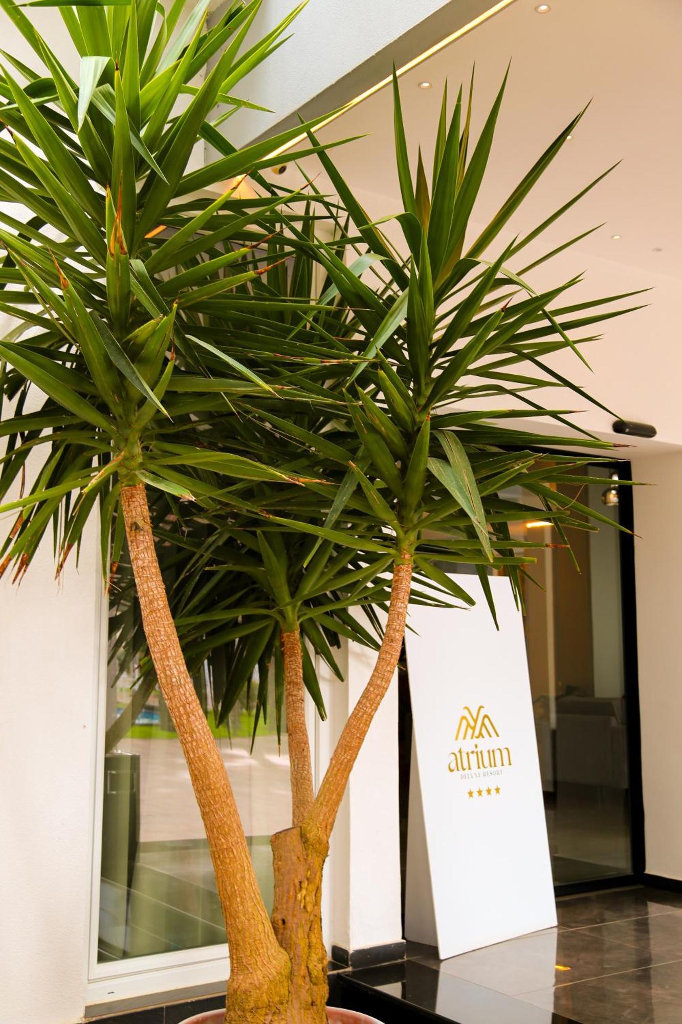 Atrium Deluxe Resort